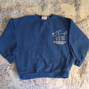 Zara Classic Blue Crew Sweater